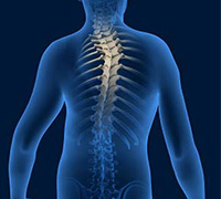 Spinal Deformity